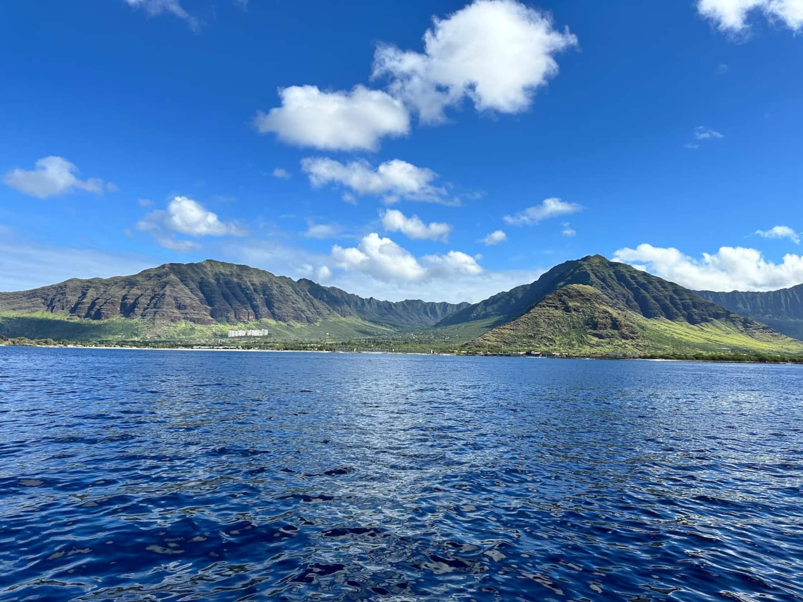 Home in Waianae · ★4.98 · 4 bedrooms · 5 beds · 2.5 private baths - Image 132