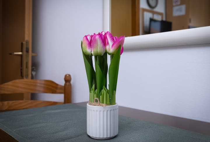 Room Miranda - Poreč