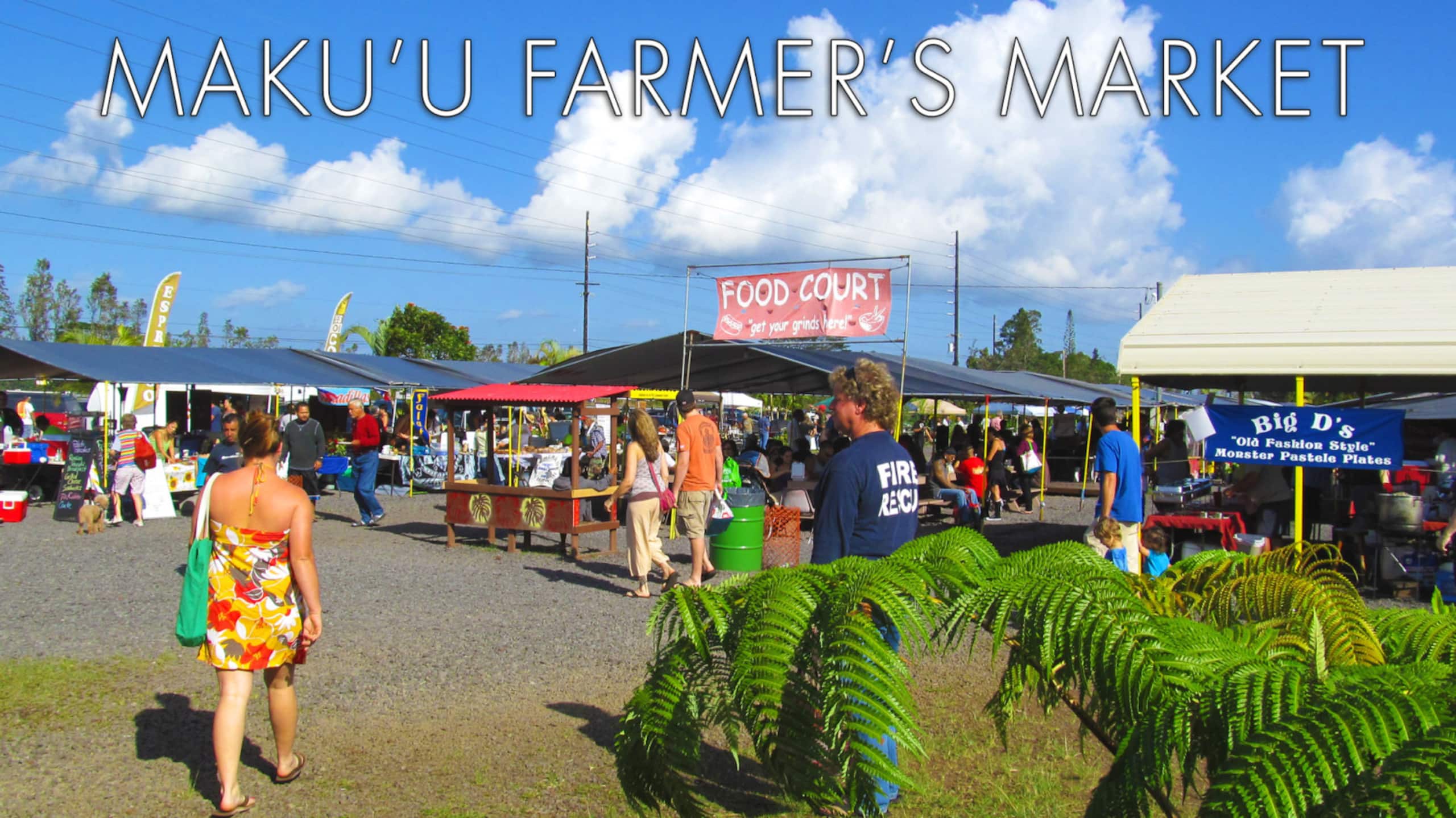 Home in Keaau · ★4.99 · 4 bedrooms · 6 beds · 2 private baths - Image 43