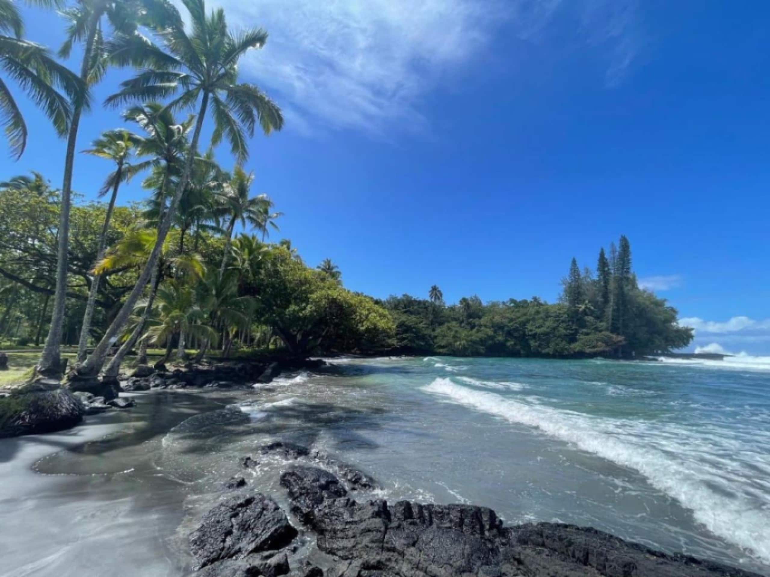 Home in Keaau · ★4.99 · 4 bedrooms · 6 beds · 2 private baths - Image 46