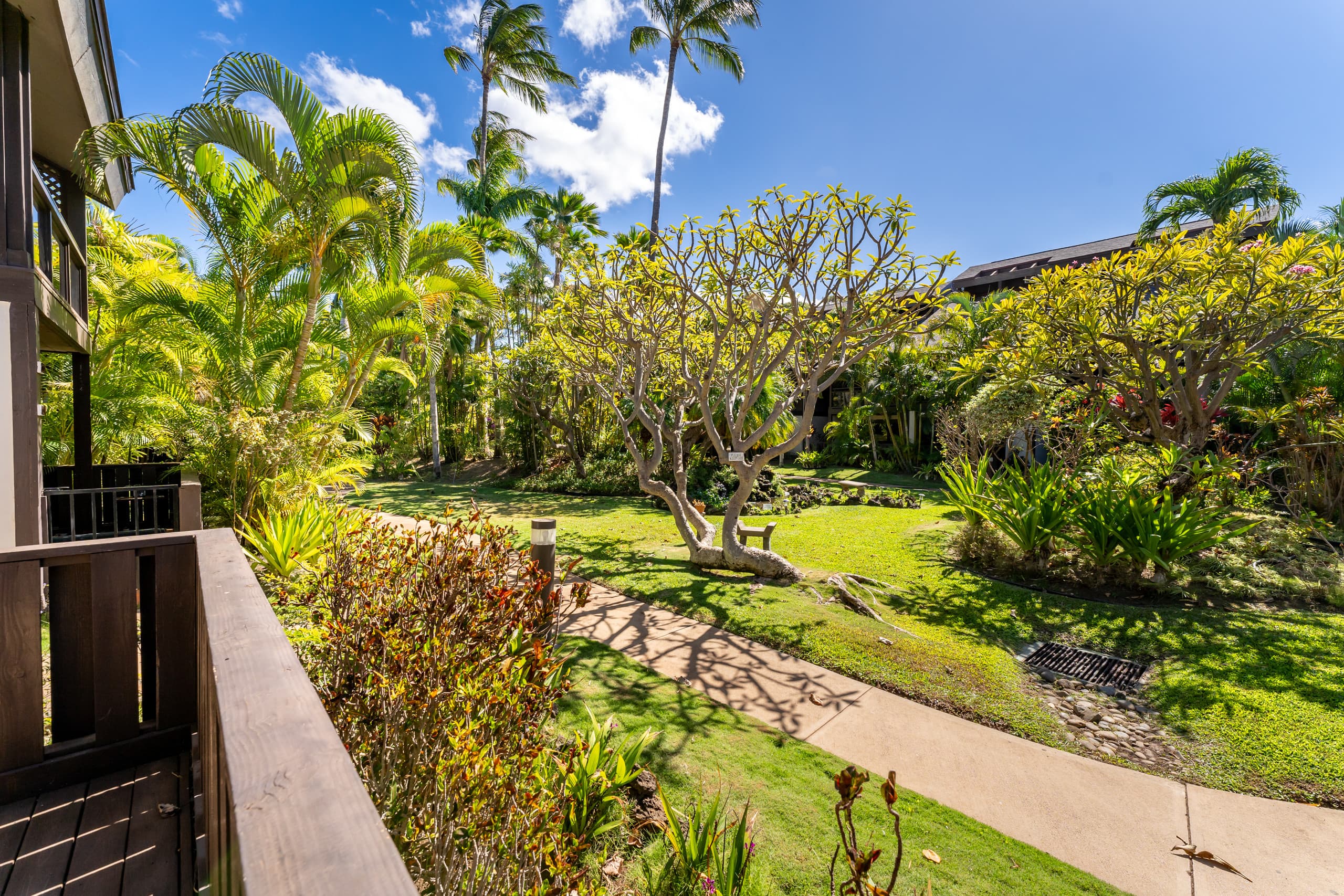 Condo in Kihei · ★4.59 · 1 bedroom · 2 beds · 1 bath - Image 20
