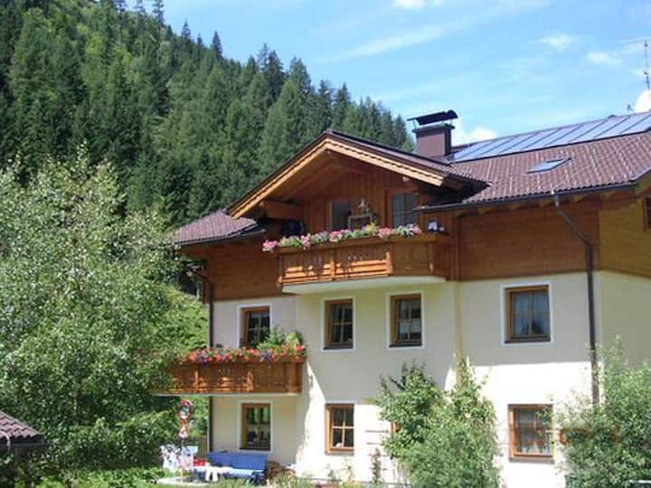 Bel Appartement Avec Deux Balcons - Großarl