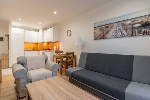 Successful Airbnb property: Park Śląski Homely Apartment #16 in Wełnowiec Józefowiec