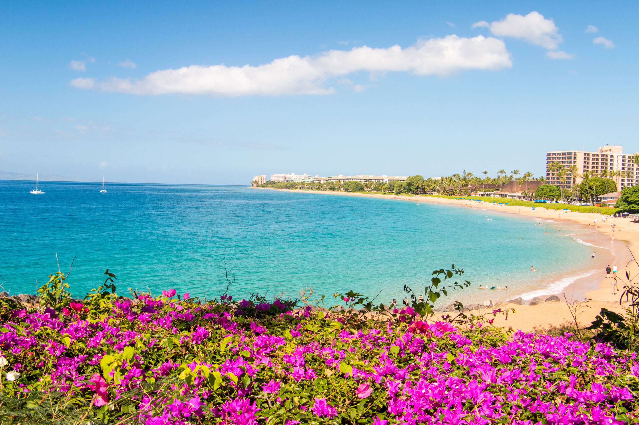 Home in Lahaina · ★4.73 · 3 bedrooms · 4 beds · 3 baths - Image 109