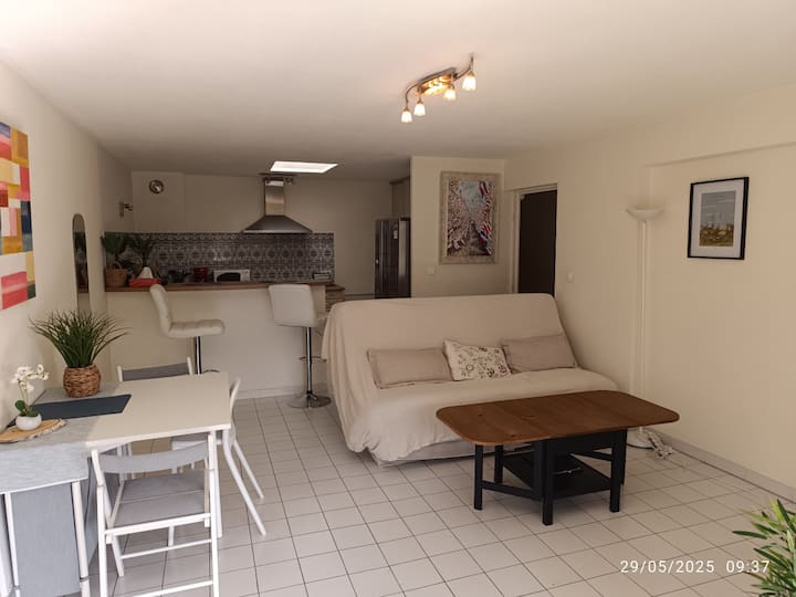 Bel Appartement Proche Plage - Carqueiranne