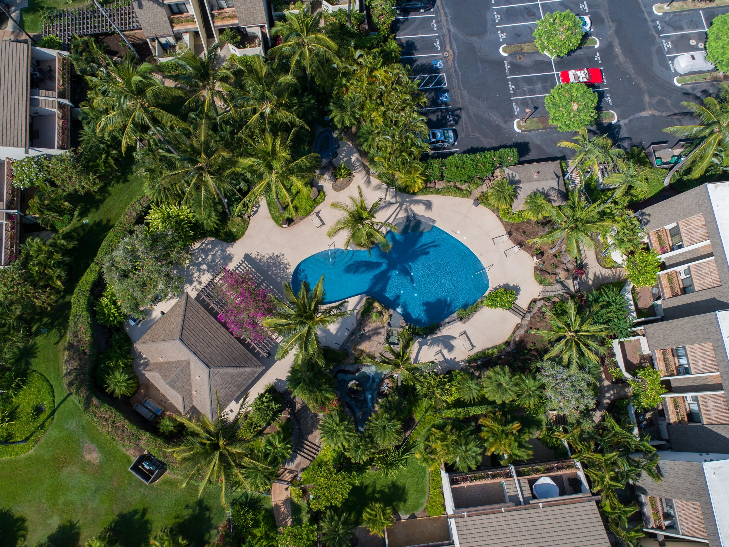 Condo in Kihei · ★5.0 · 2 bedrooms · 2 beds · 2 baths - Image 22