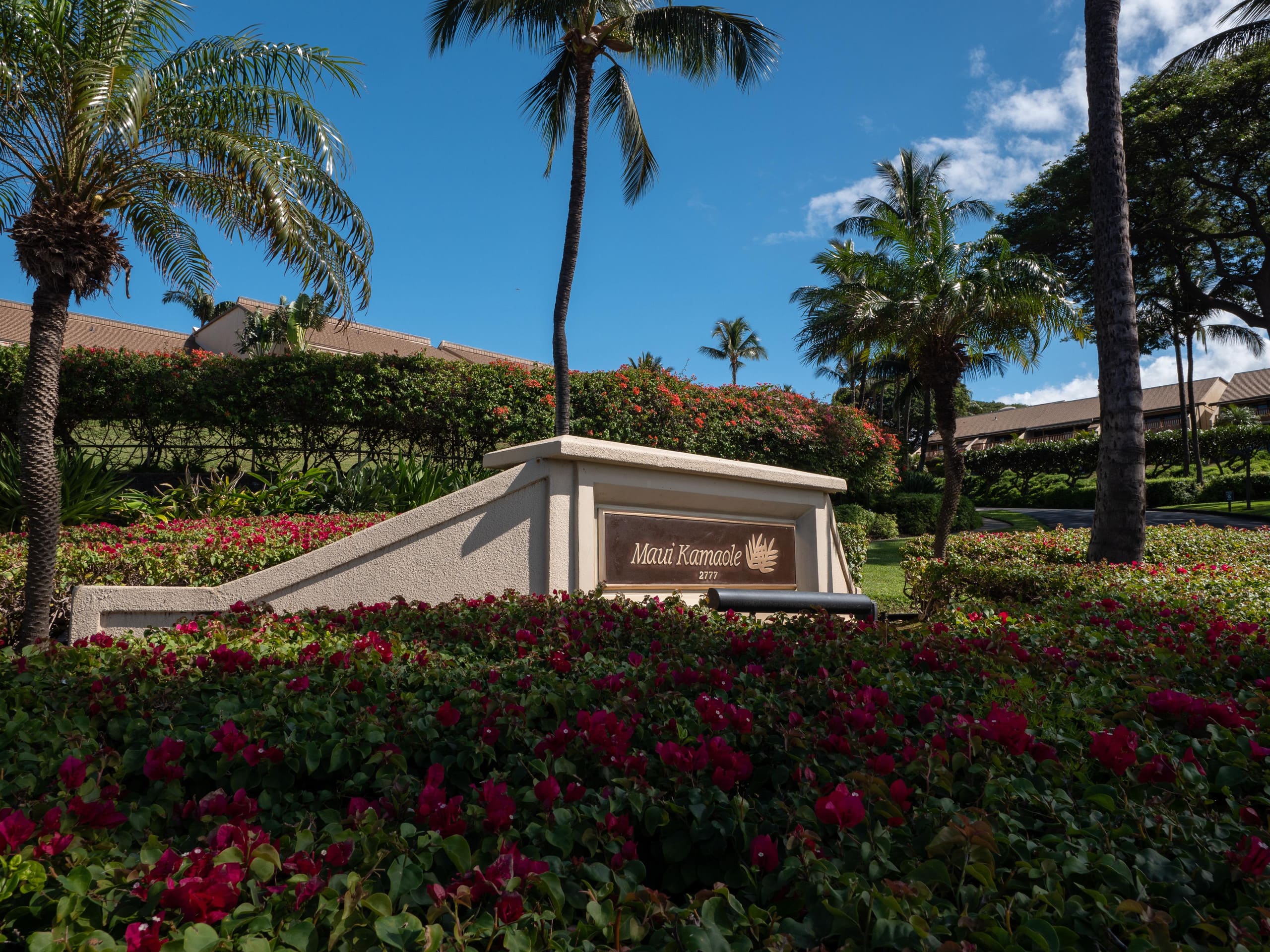 Condo in Kihei · ★5.0 · 2 bedrooms · 2 beds · 2 baths - Image 26