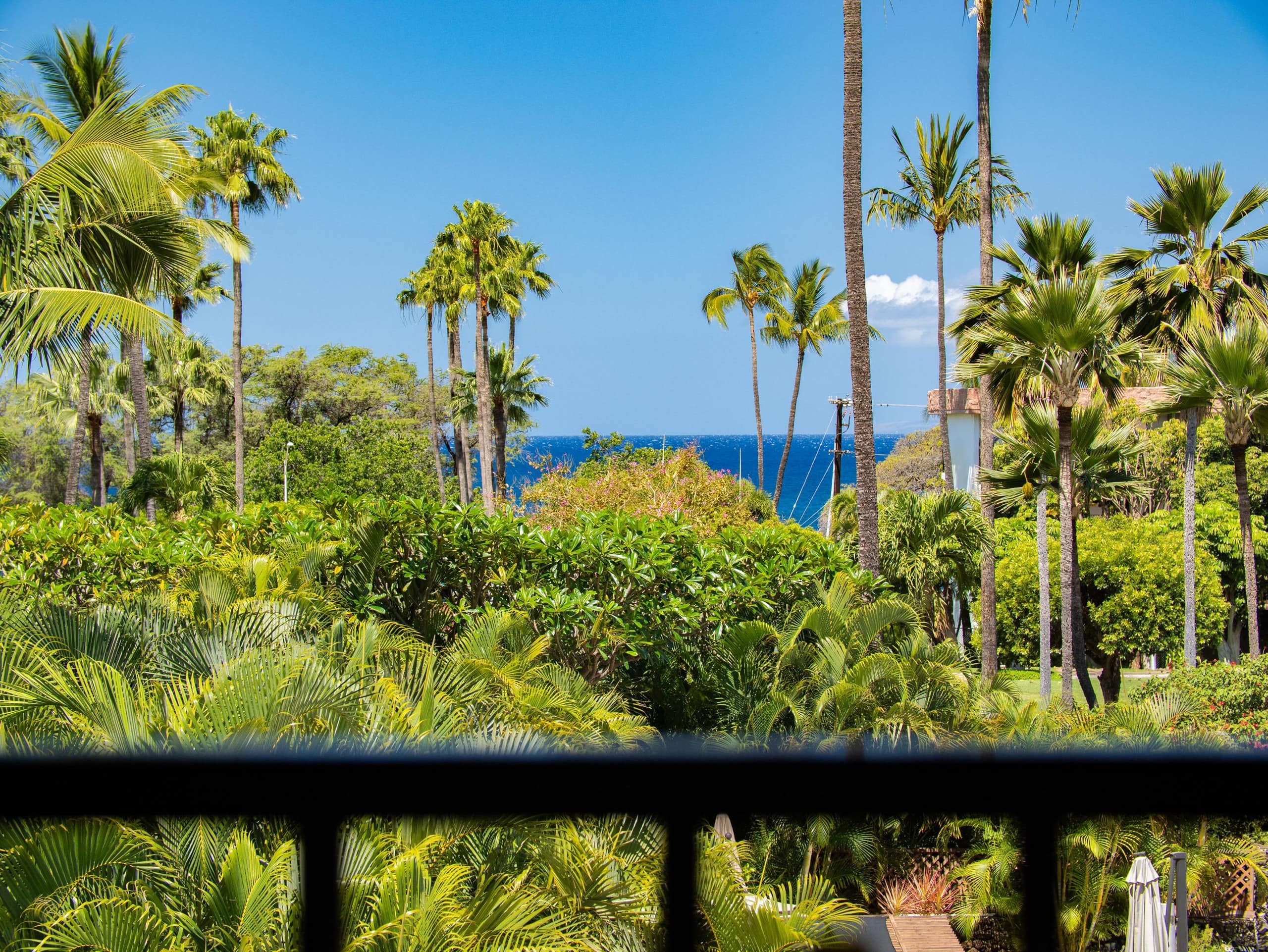 Condo in Kihei · ★5.0 · 1 bedroom · 2 beds · 2 private baths - Image 26