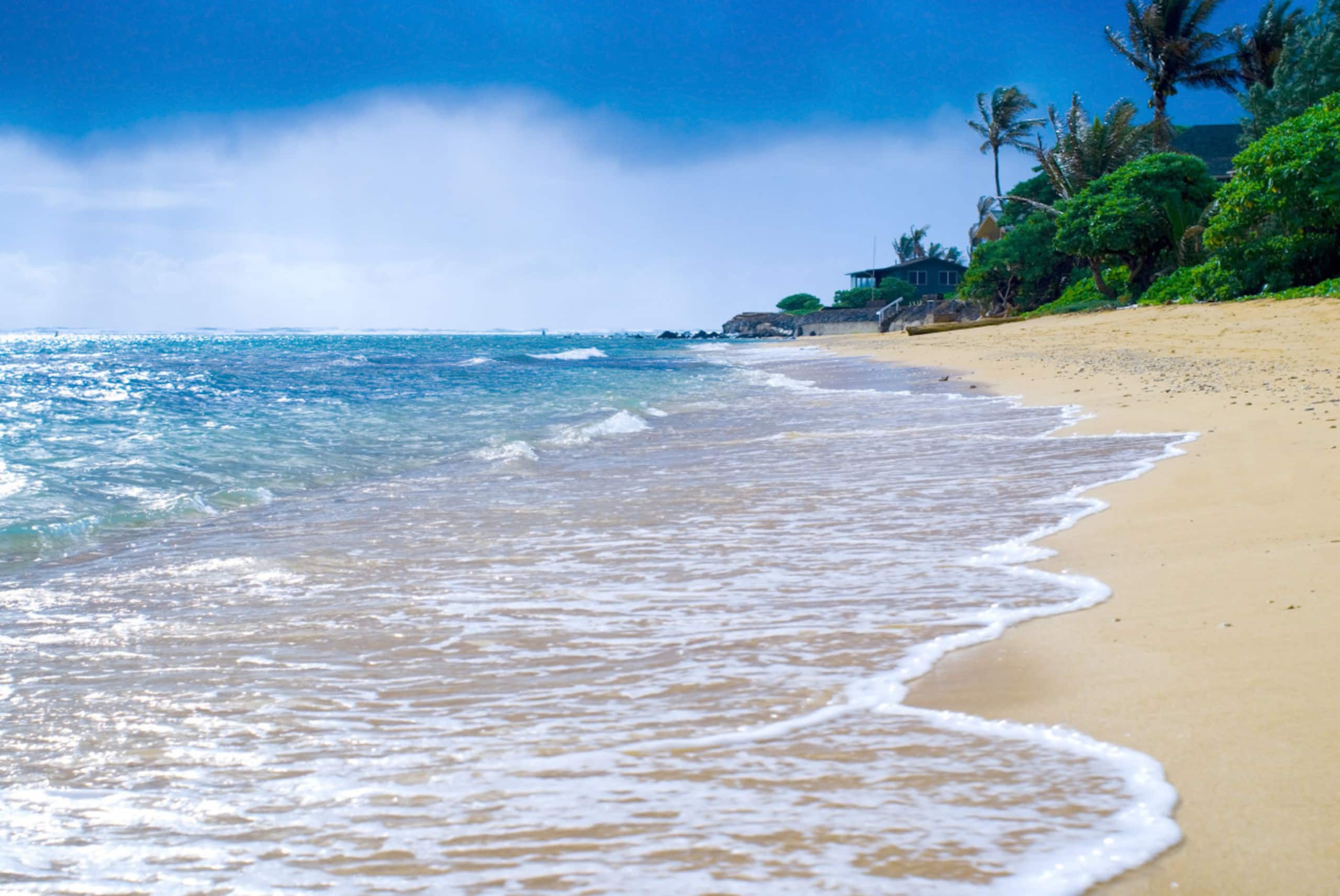 Home in Kahuku · ★4.71 · 1 bedroom · 2 beds · 2 private baths - Image 37