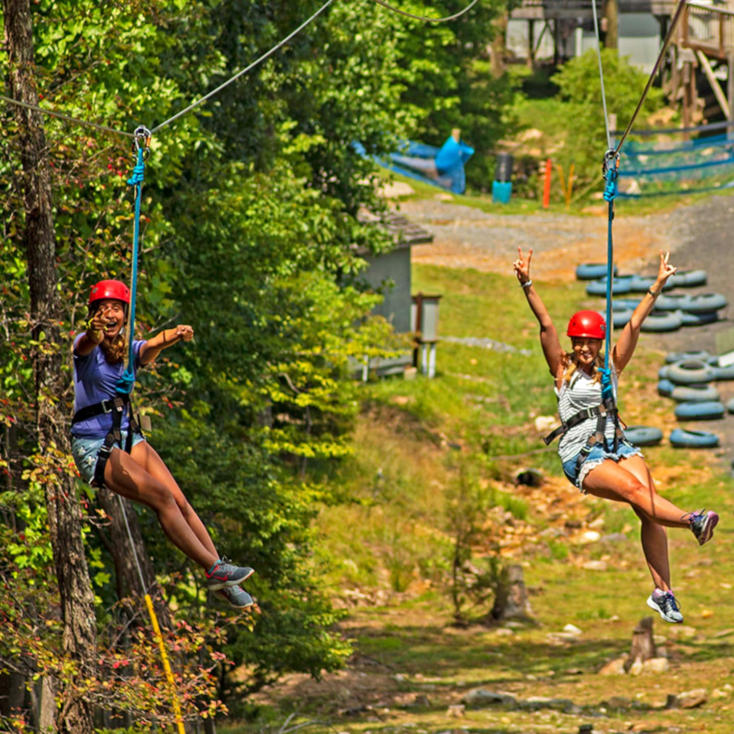 Book the zip line for an afternoon and let somebody in the group finally beat their fear of heights. It's minutes from the house, not a