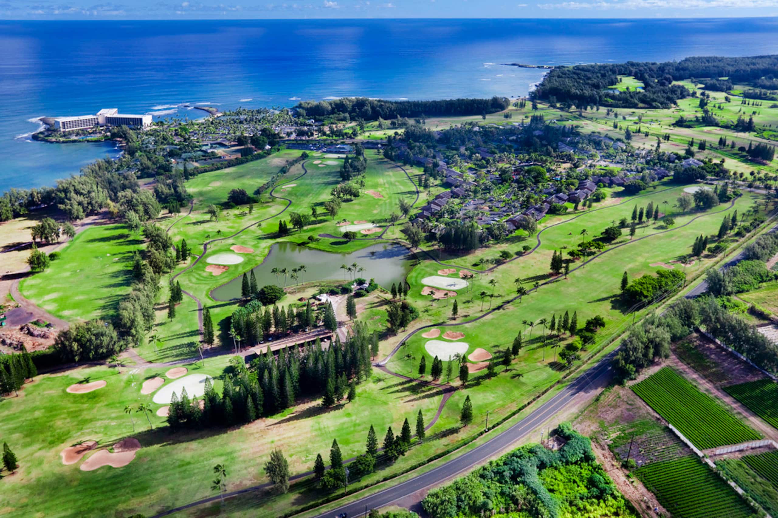 Condo in Kahuku · ★4.89 · 2 bedrooms · 4 beds · 2 shared baths - Image 34