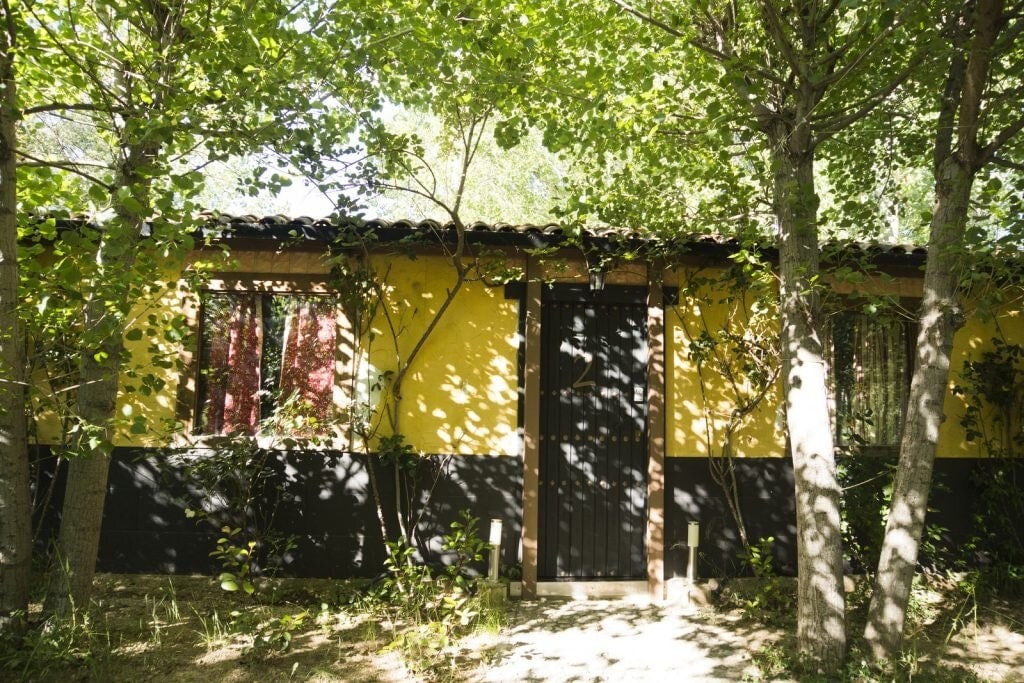A charming cabin is framed by lush green trees, with warm yellow and dark brown walls providing visual contrast. Natural light filters through the leaves, casting interesting shadows across the entrance. The door, made of wood, is complemented by partially curtained windows.