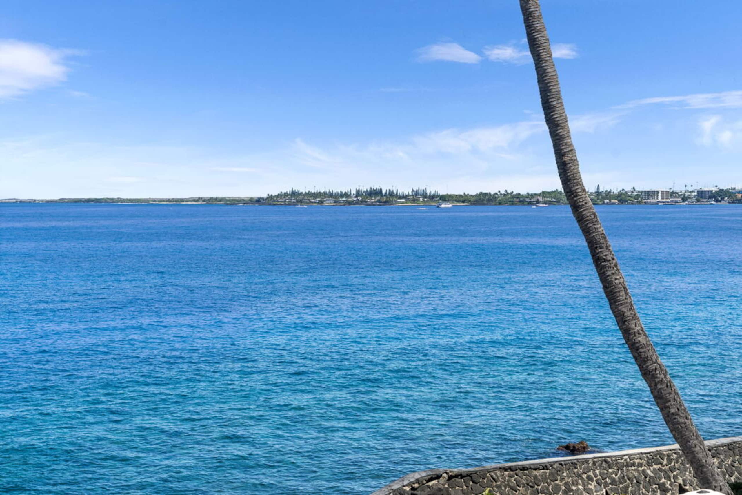 Condo in Kailua-Kona · ★4.76 · 2 bedrooms · 2 beds · 2 baths - Image 43
