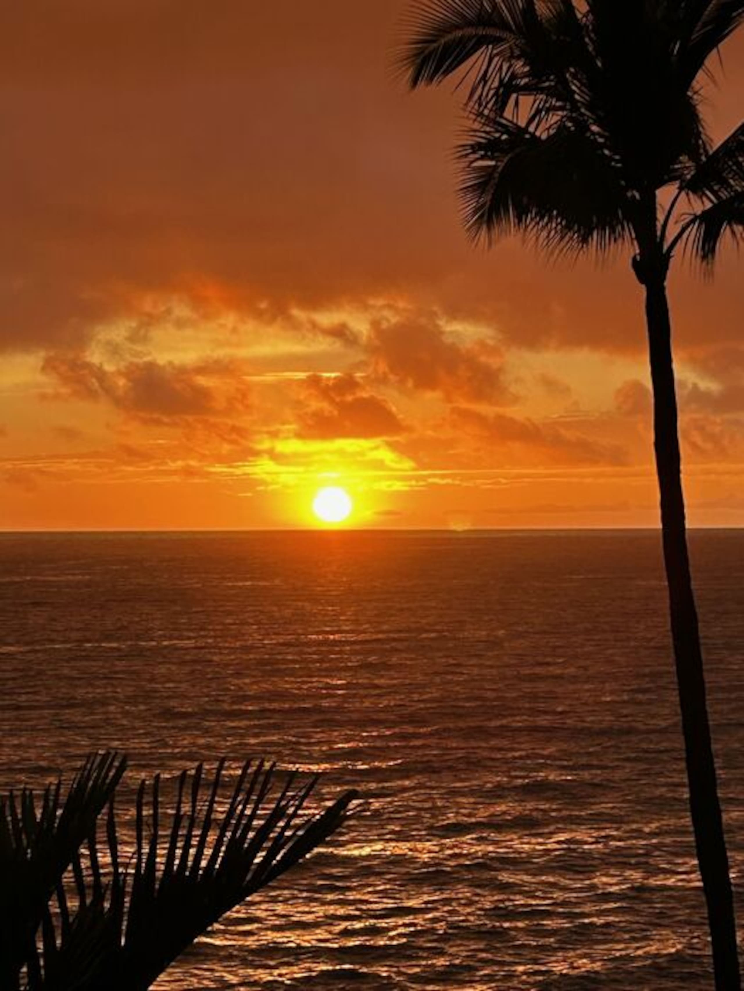 Condo in Kailua-Kona · ★4.76 · 2 bedrooms · 2 beds · 2 baths - Image 9