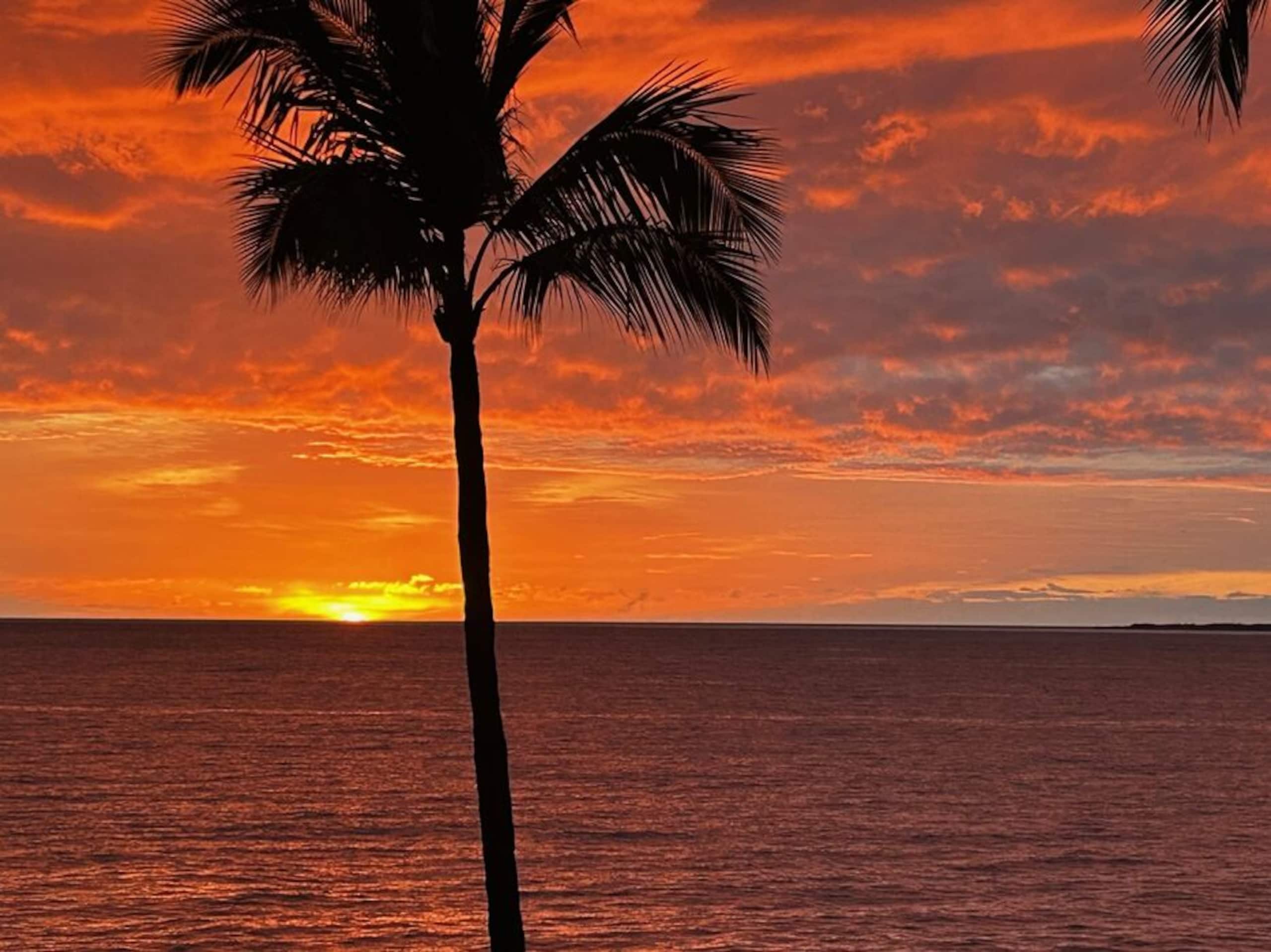 Condo in Kailua-Kona · ★4.76 · 2 bedrooms · 2 beds · 2 baths - Image 12