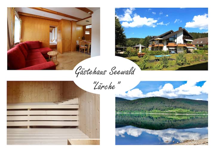 Guesthouse Seewald - "Lärche, Schluchsee-blasiwald - Schluchsee