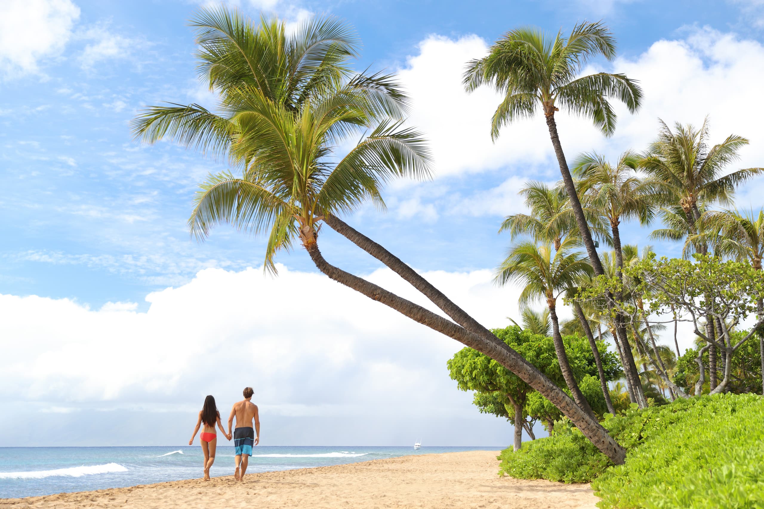 Home in Lahaina · ★4.44 · 2 bedrooms · 3 beds · 2 private baths - Image 60