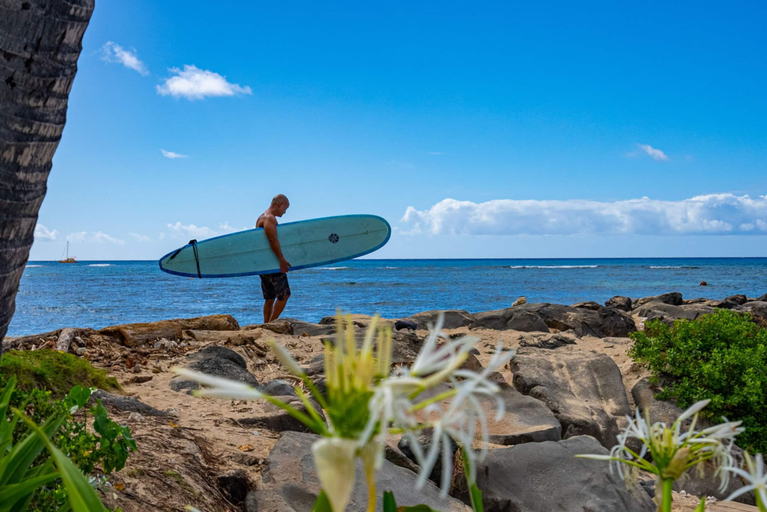 *Oceanfront Renovated Getaway in Waikiki - Image 52