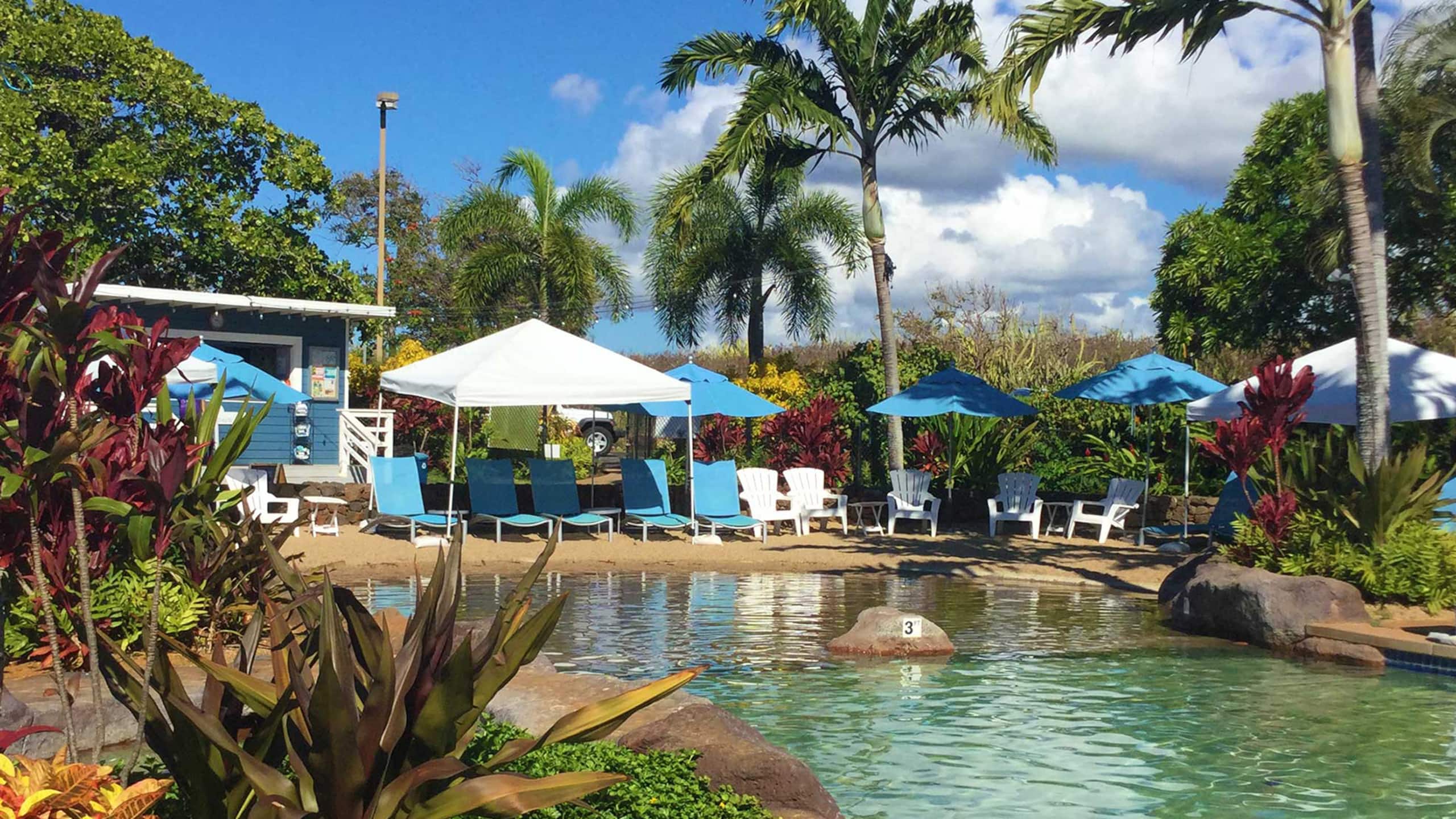 Condo in Koloa · ★4.75 · 2 bedrooms · 3 beds · 2 baths - Photo 39