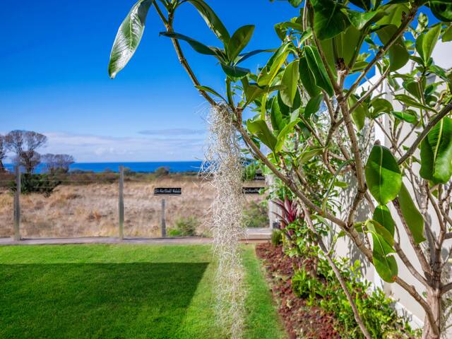 Kalo Homes – Breath of Life gallery image 4