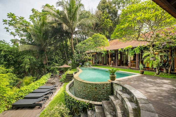 Azure Luxe Villa In Ubud-infinity Pool-jungle View - Ubud