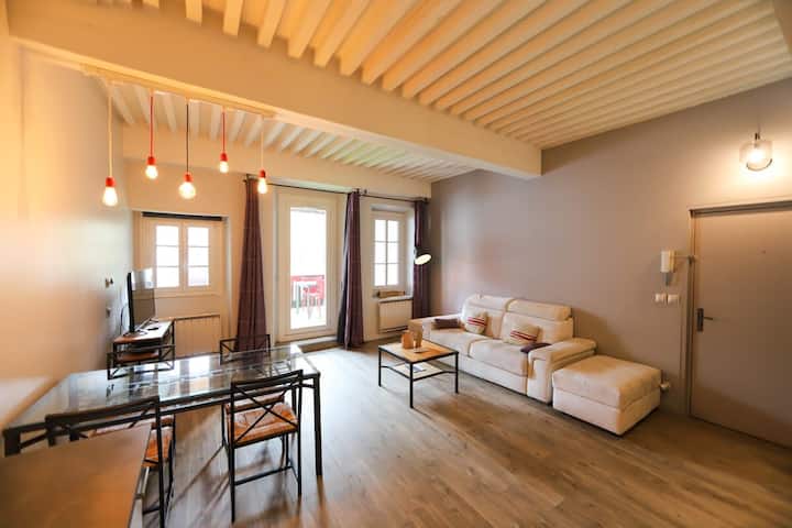 55 M2 Apart With Big Terrace In Annecy Downtown - Annecy
