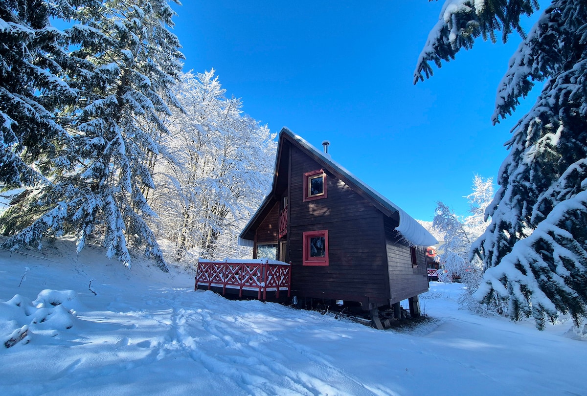 A charming Nordic chalet is nestled among snow-covered trees, with its sloped roof and wooden exterior highlighted against a clear blue sky. The red accents around the windows bring a pop of color to the serene winter landscape.