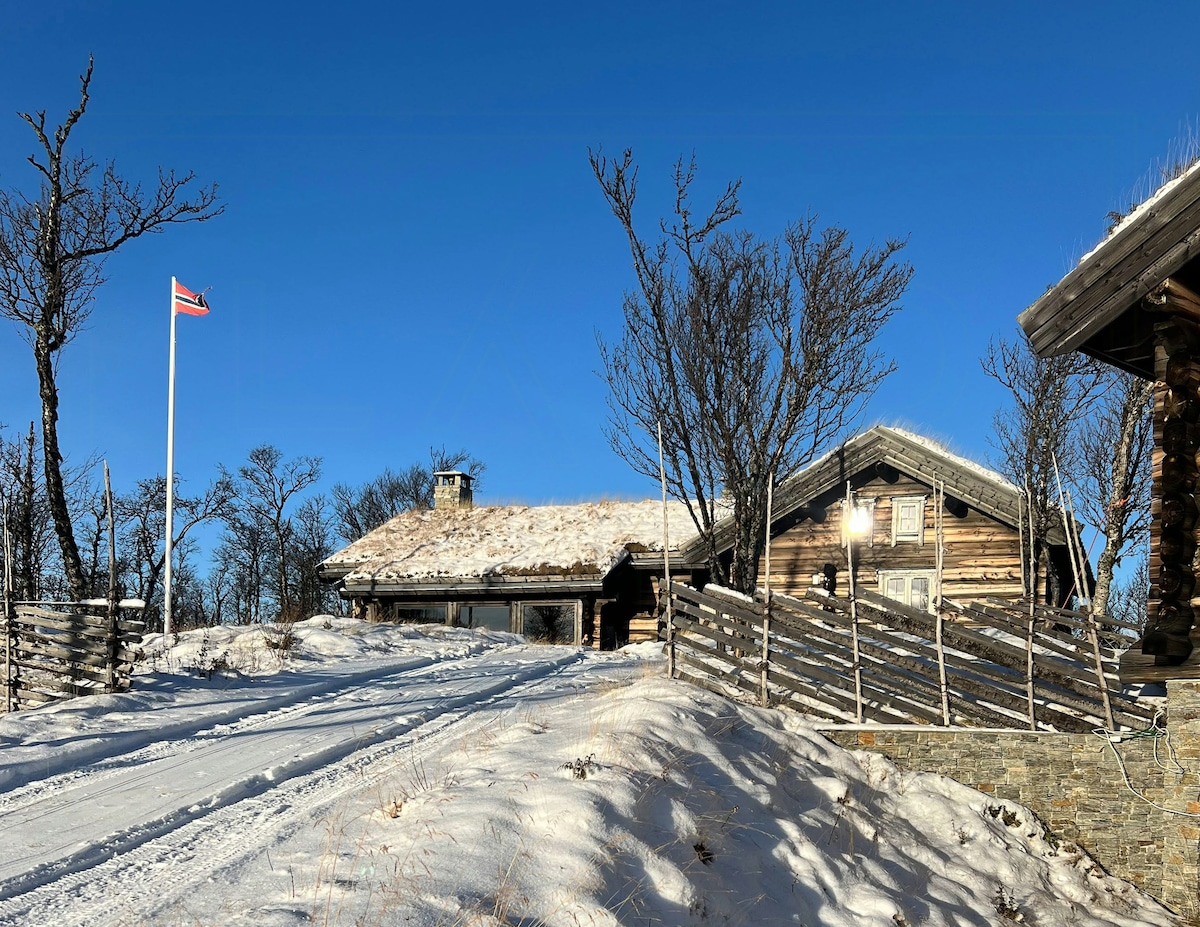 A large log cabin is set among snowy terrain, featuring a thatched roof and stone accents. A flag is visible, waving in the clear blue sky. Snow-covered pathways lead to the entrance, flanked by sparse trees, creating a winter wonderland atmosphere.