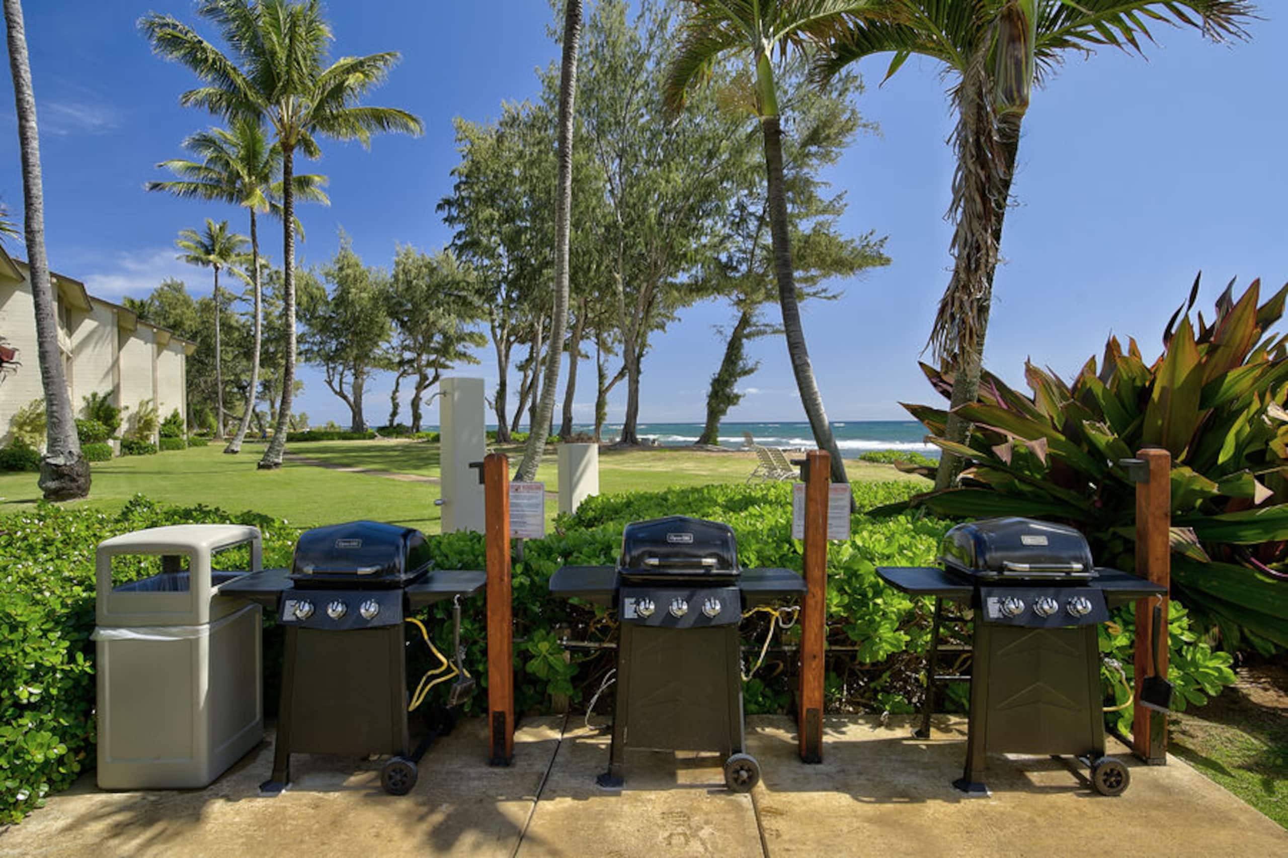 Condo in Kapaa · ★4.92 · Studio · 1 bed · 1 bath - Image 32