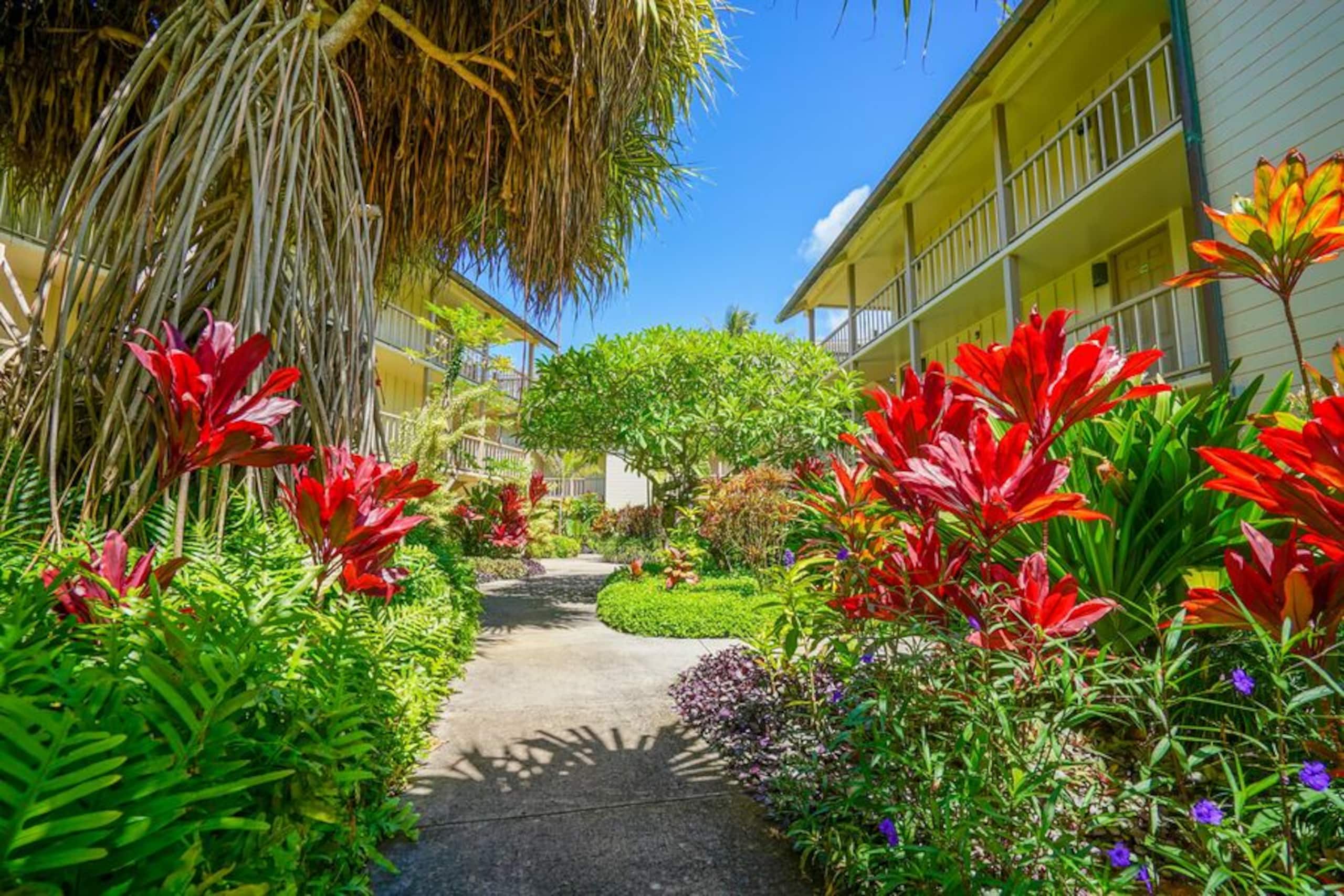 Condo in Kapaa · ★4.92 · Studio · 1 bed · 1 bath - Image 43