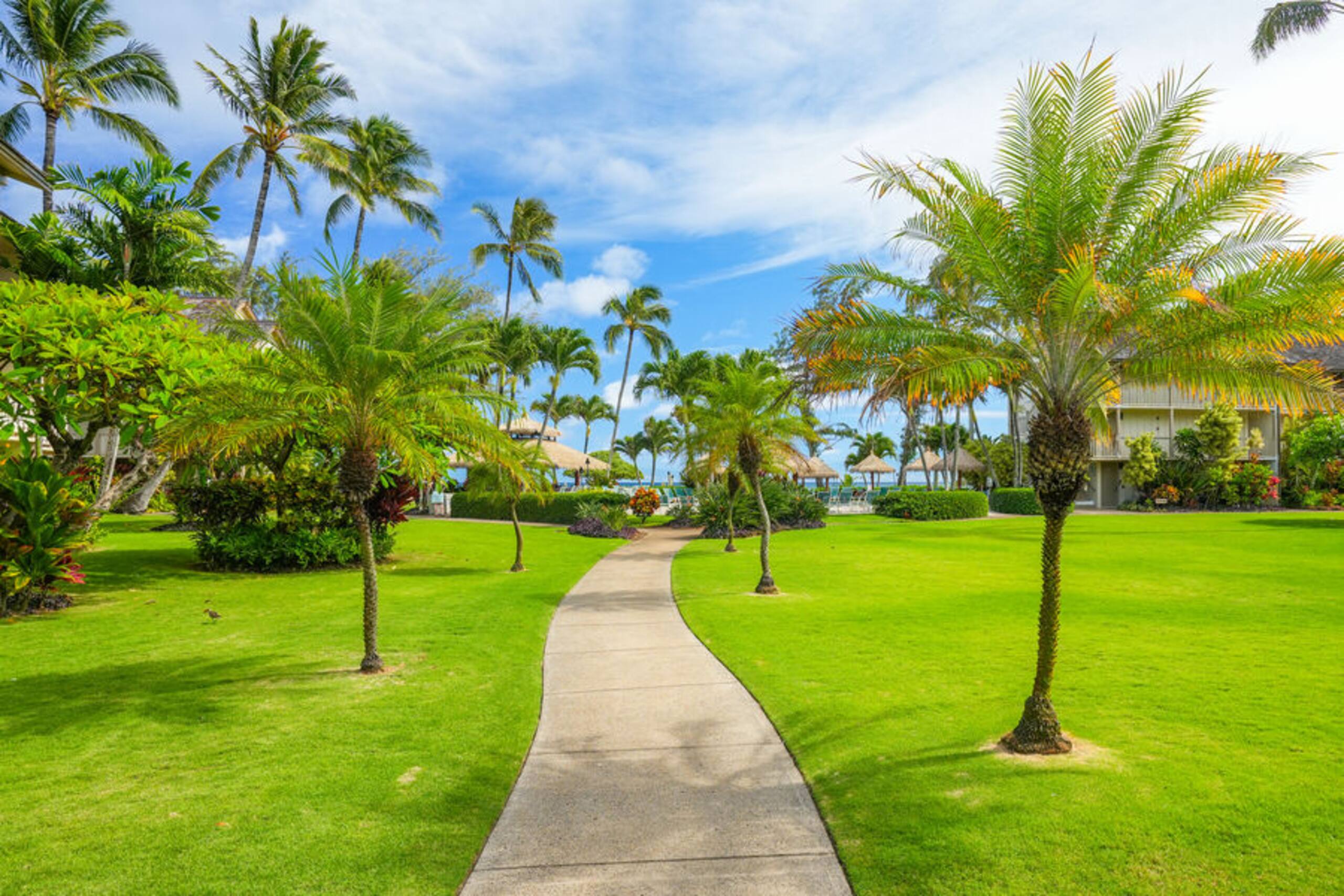Condo in Kapaa · ★4.92 · Studio · 1 bed · 1 bath - Image 40