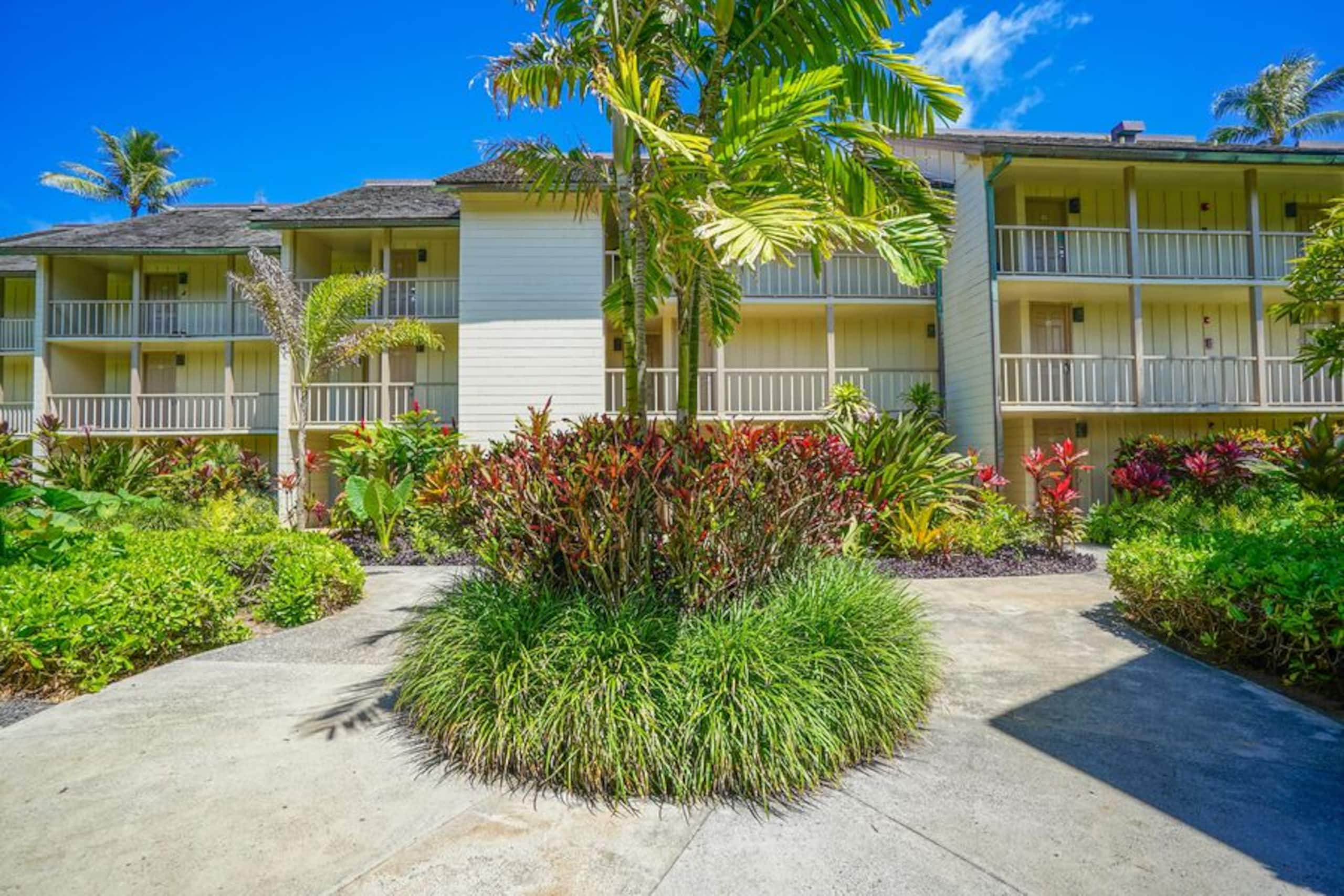 Condo in Kapaa · ★4.92 · Studio · 1 bed · 1 bath - Image 45