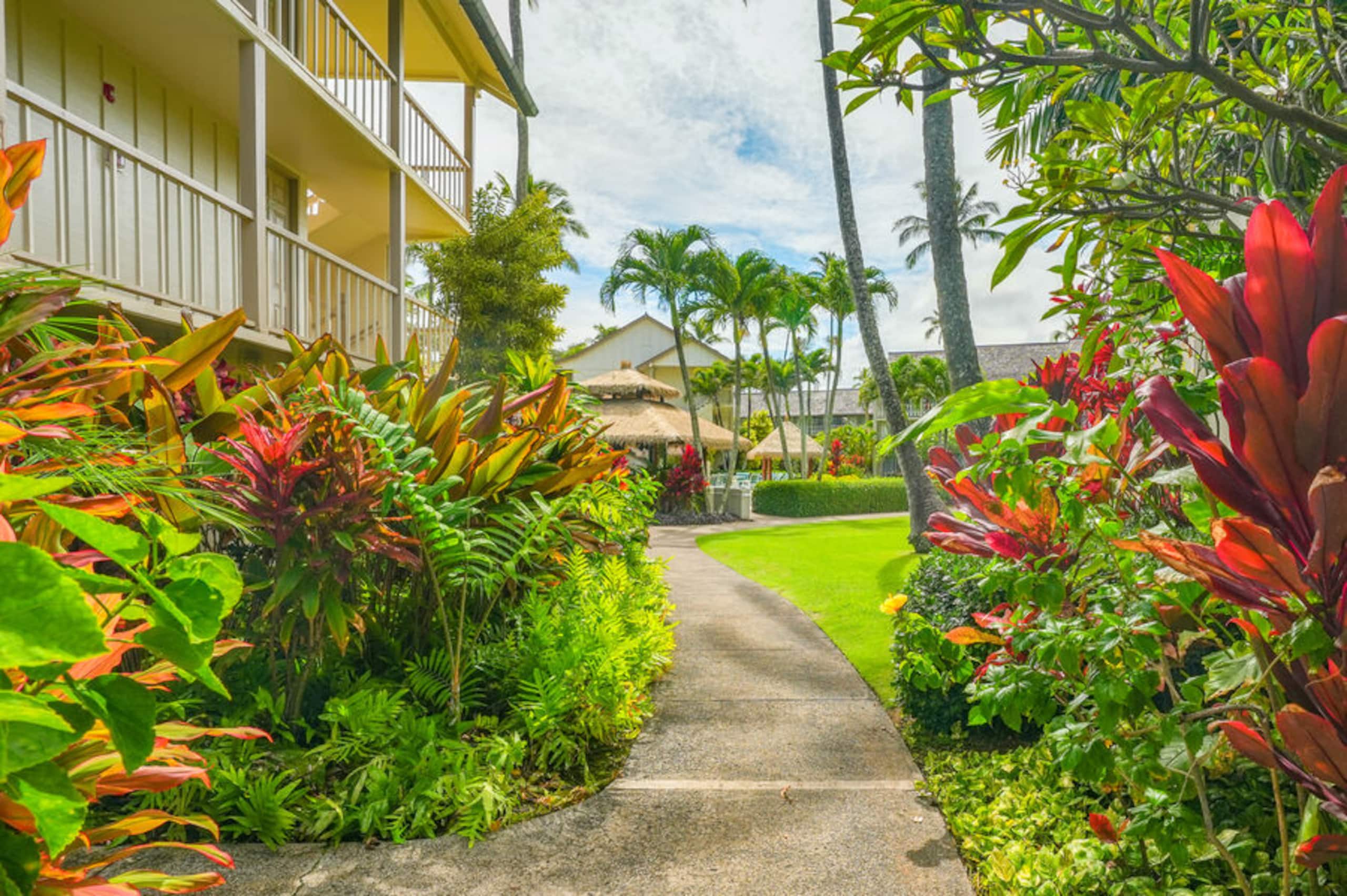 Condo in Kapaa · ★4.92 · Studio · 1 bed · 1 bath - Image 44