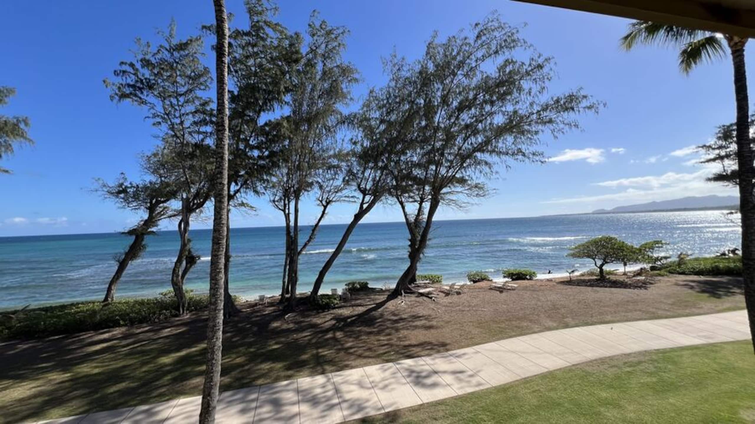 Condo in Kapaa · ★4.92 · Studio · 1 bed · 1 bath - Image 39