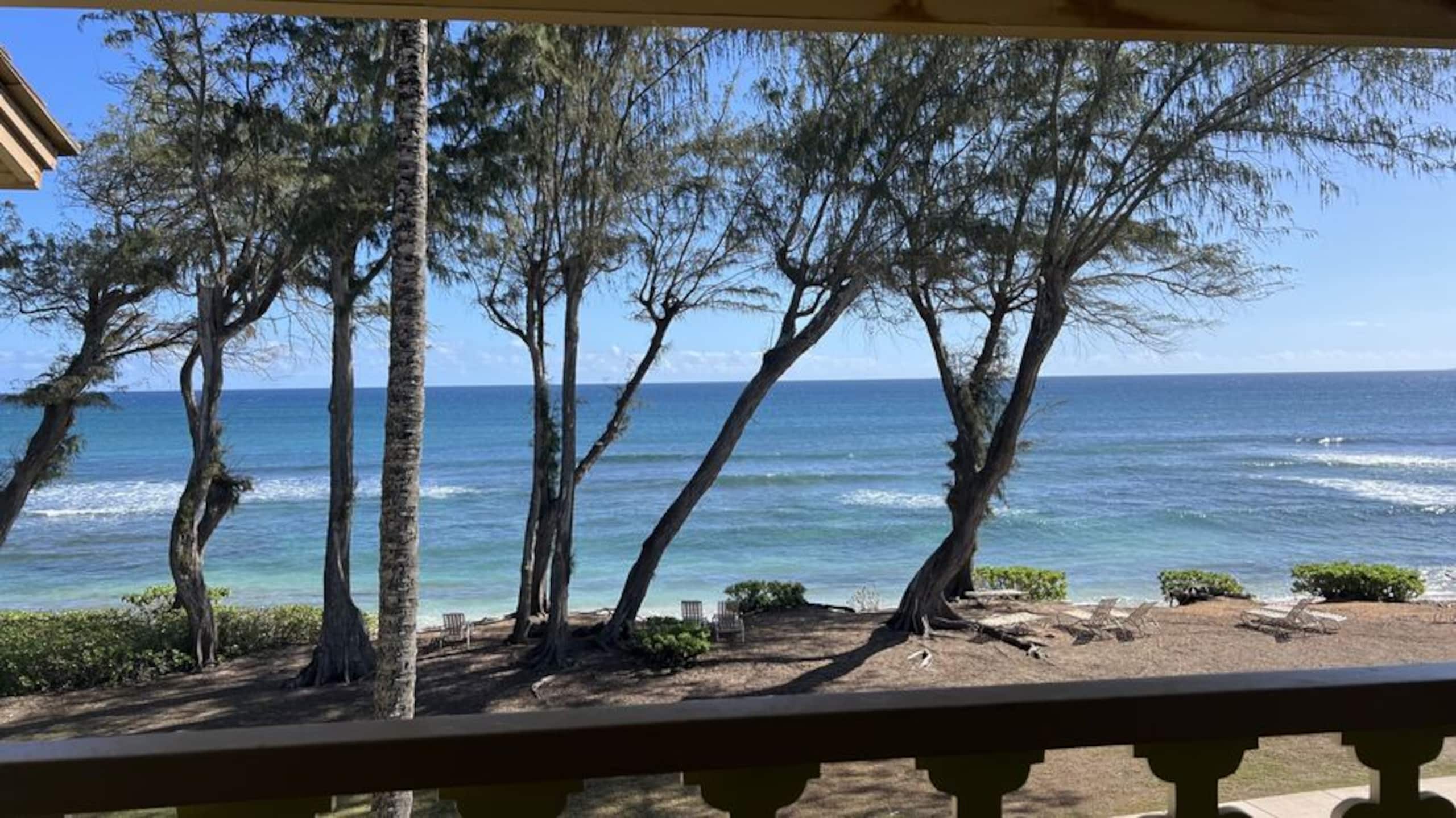 Condo in Kapaa · ★4.92 · Studio · 1 bed · 1 bath - Image 25