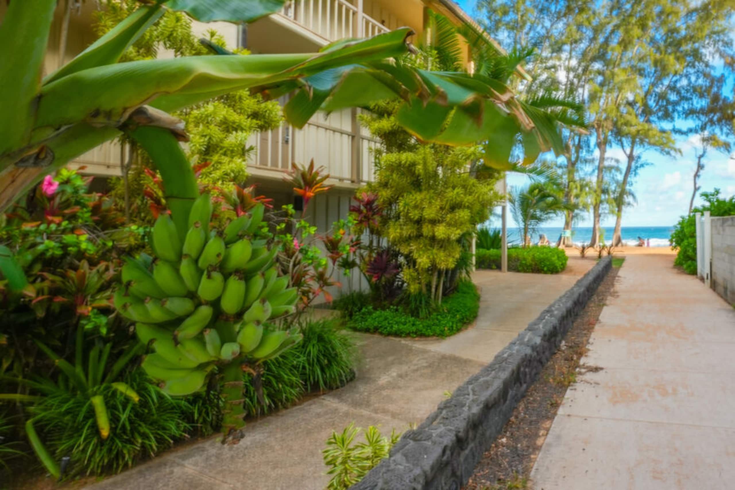Condo in Kapaa · ★4.92 · Studio · 1 bed · 1 bath - Image 42