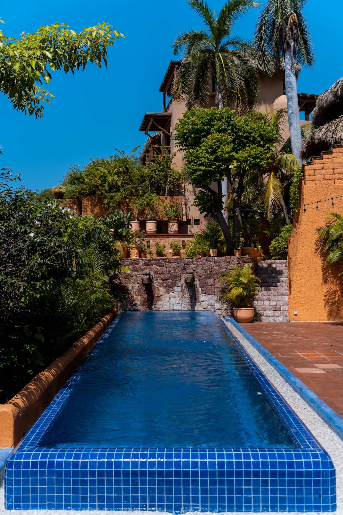 A long, rectangular pool is surrounded by lush greenery and tropical plants. The bright blue tiles detail the pool's edge, while a stone wall with water features adds a serene element to the scene. The vibrant color contrasts with the earthy tones of the nearby structure.
