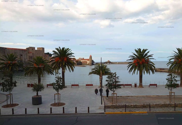 4demo46 - Collioure Appartement T2 Plage Et Vue - Collioure