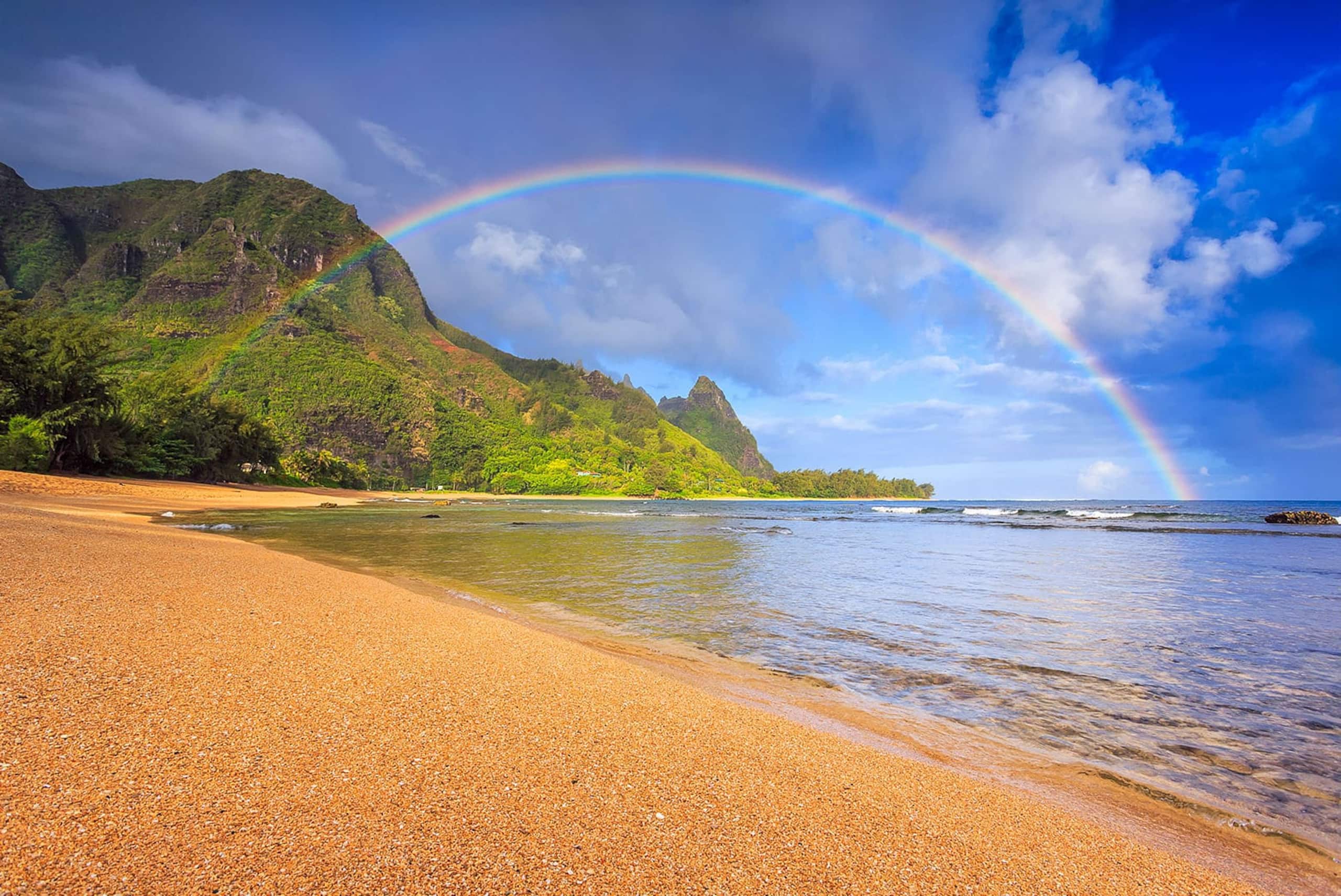 Home in Princeville · ★4.93 · 4 bedrooms · 5 beds · 2.5 private baths - Image 12