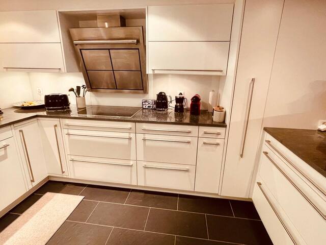 Modern 3 Br Duplex With Huge Panoramic Alps Views gallery image 5