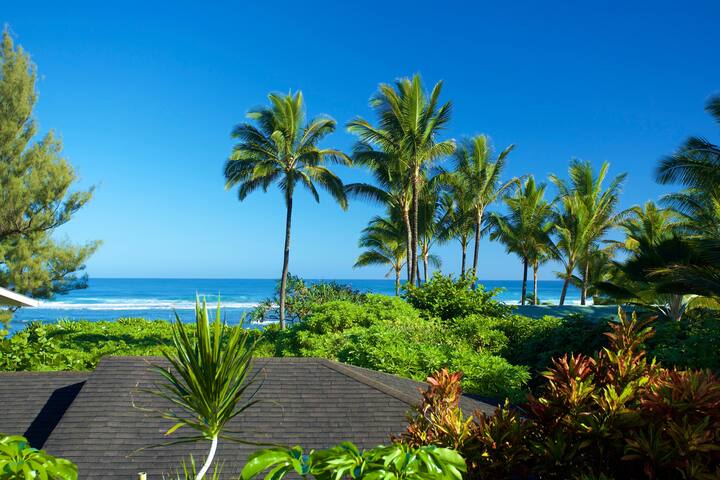 Hawaii Life – A/C and Steps to the Beach gallery image 5
