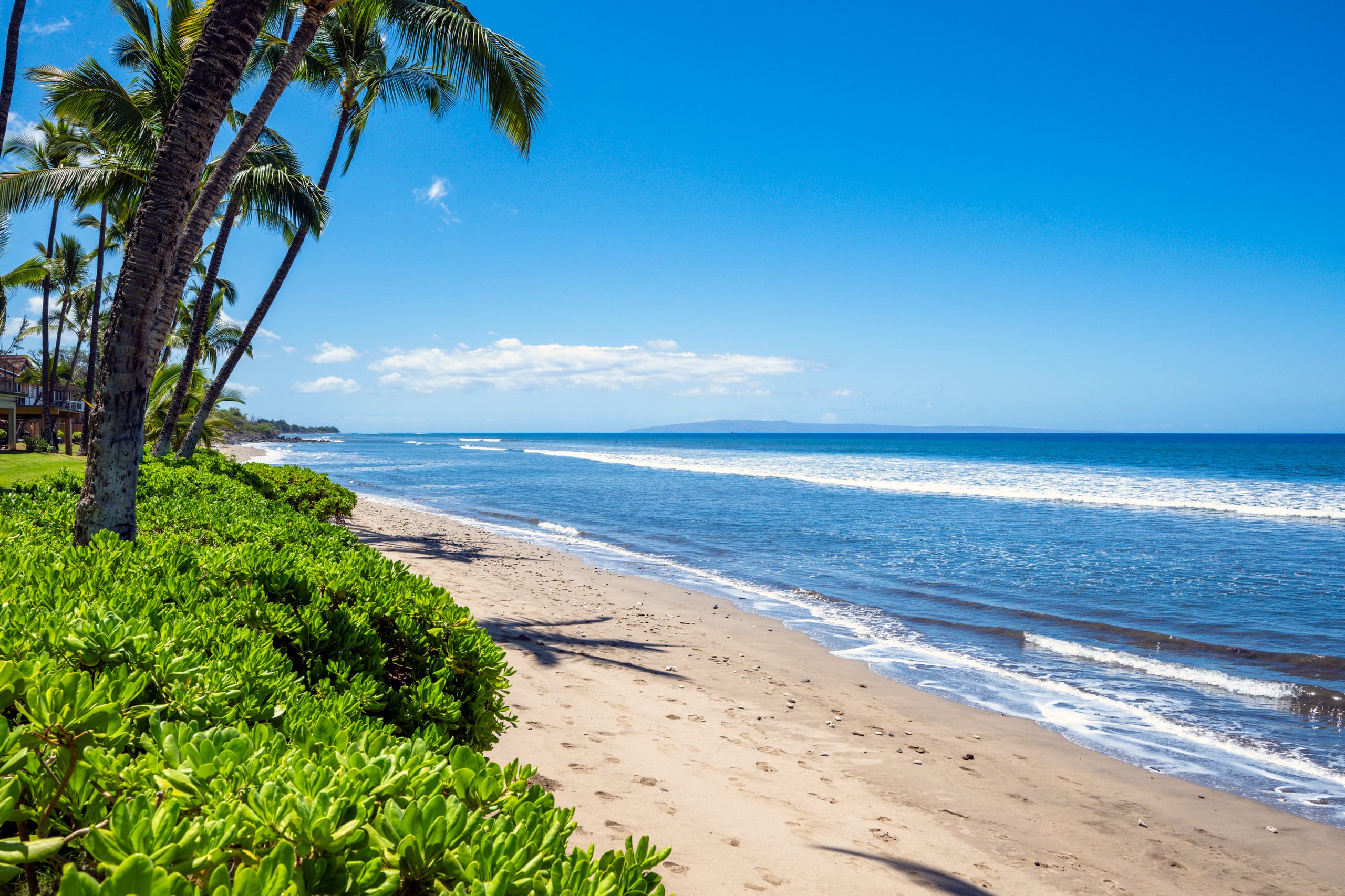 Home in Lahaina · ★5.0 · 3 bedrooms · 4 beds · 4 shared baths - Image 65