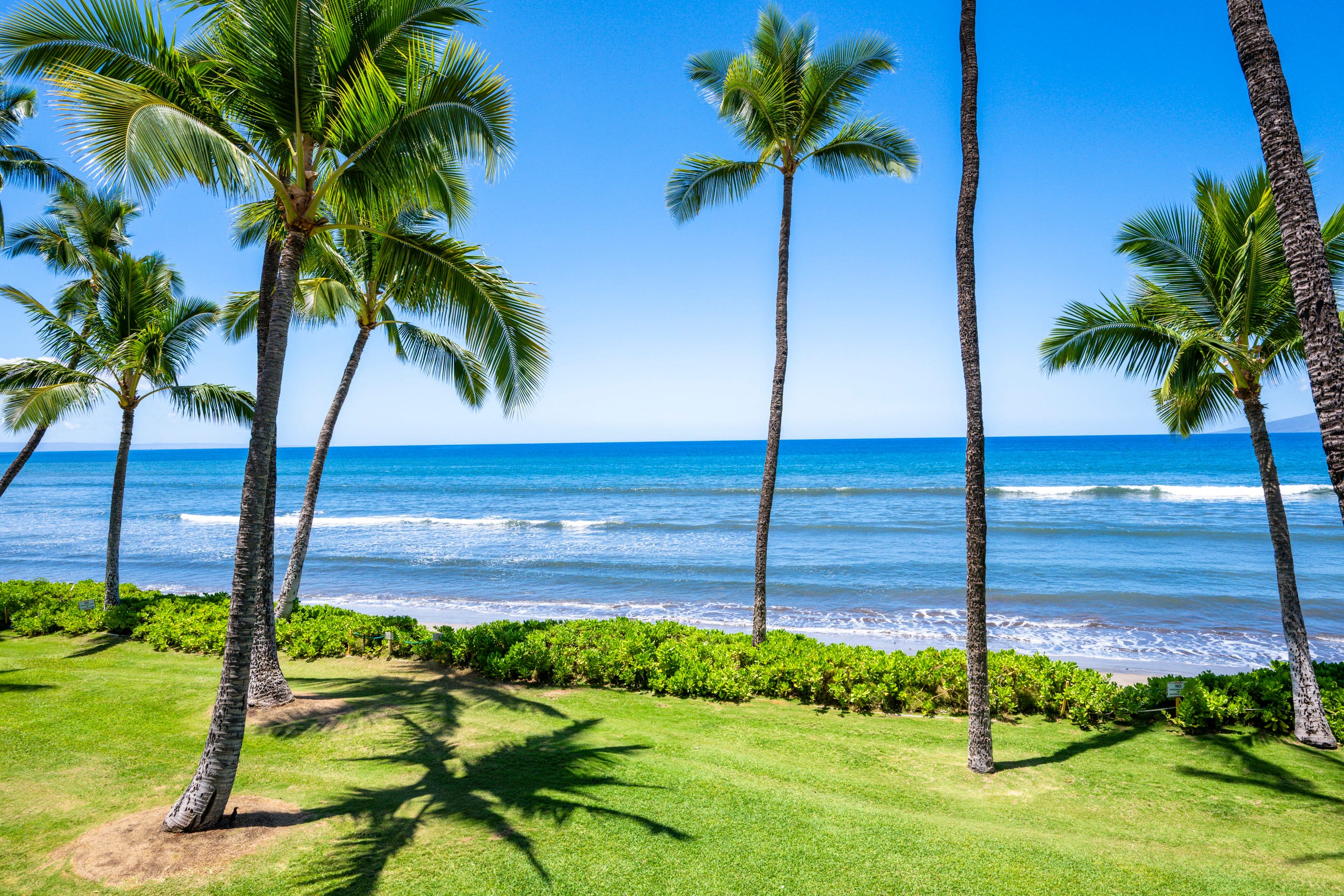 Home in Lahaina · ★5.0 · 3 bedrooms · 4 beds · 4 shared baths - Image 70