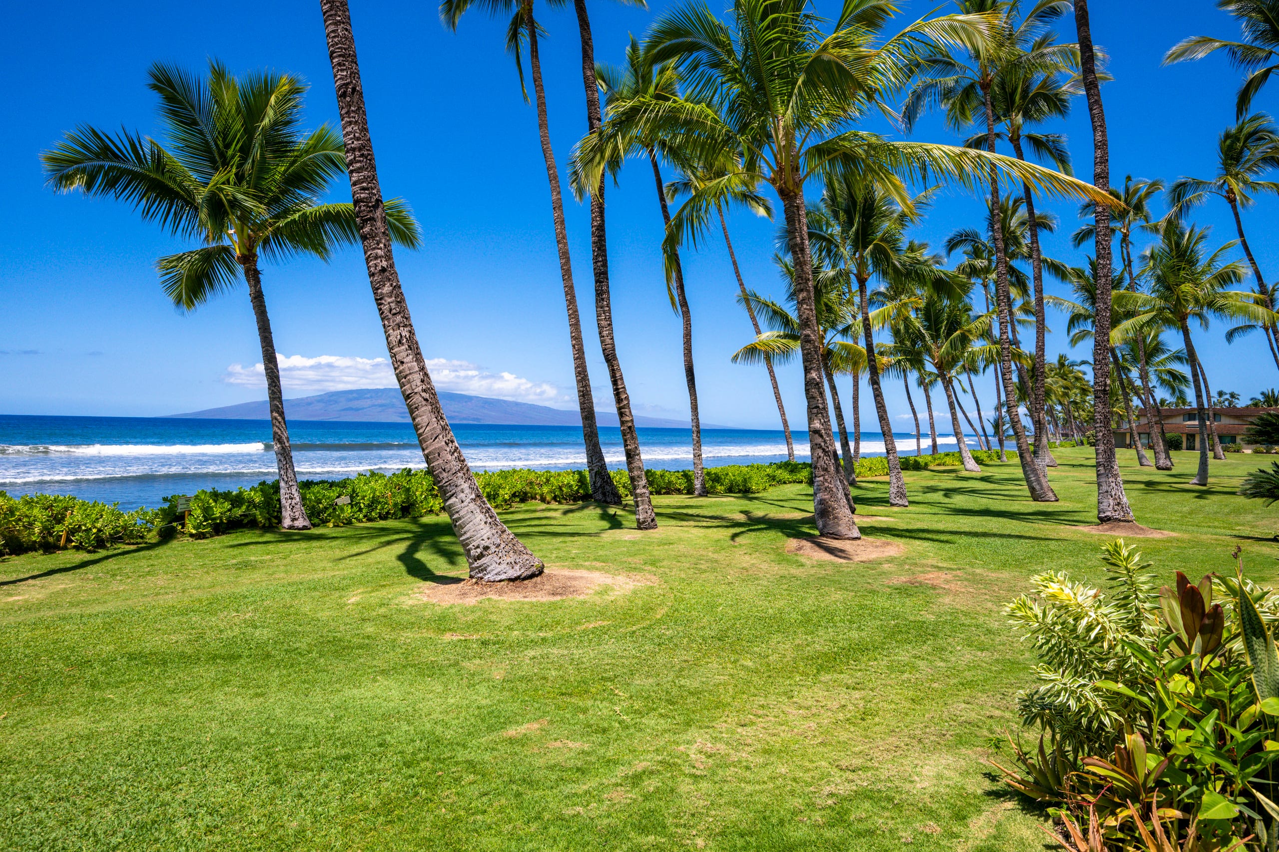 Home in Lahaina · ★5.0 · 3 bedrooms · 4 beds · 4 shared baths - Image 62