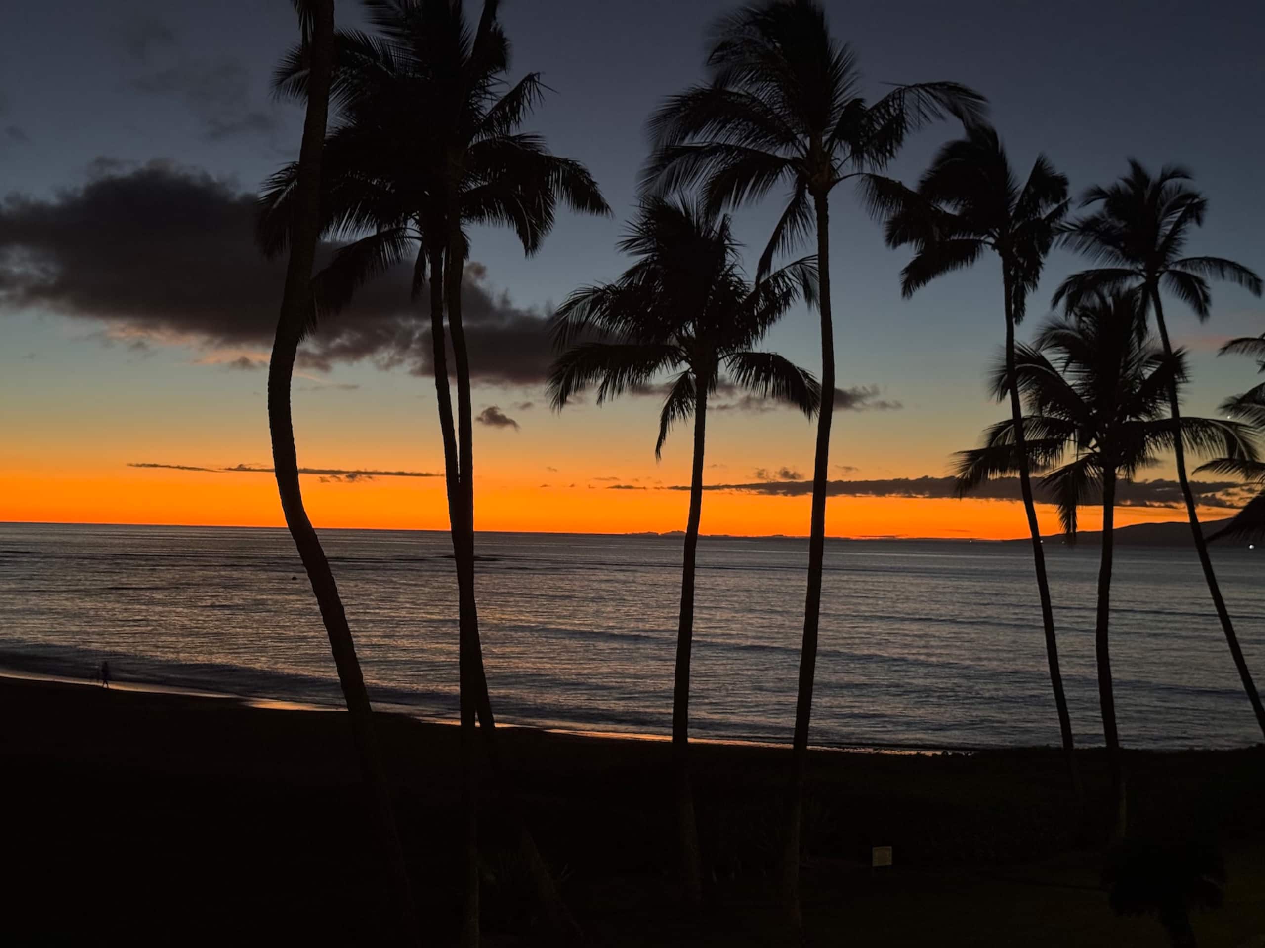 Condo in Kihei · ★4.78 · 2 bedrooms · 3 beds · 2 shared baths - Image 40
