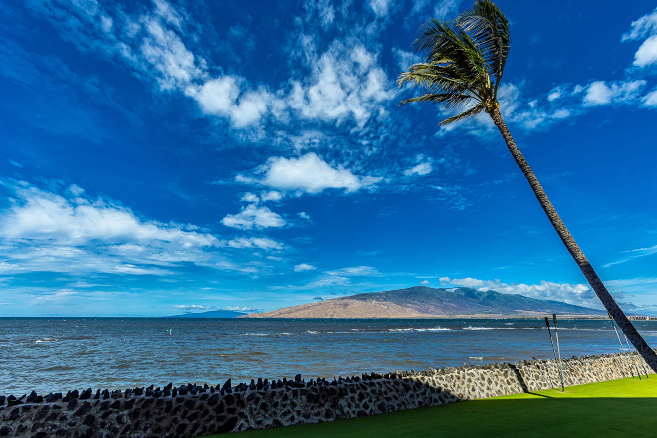 Condo in Kihei · ★4.78 · 2 bedrooms · 3 beds · 2 shared baths - Image 46