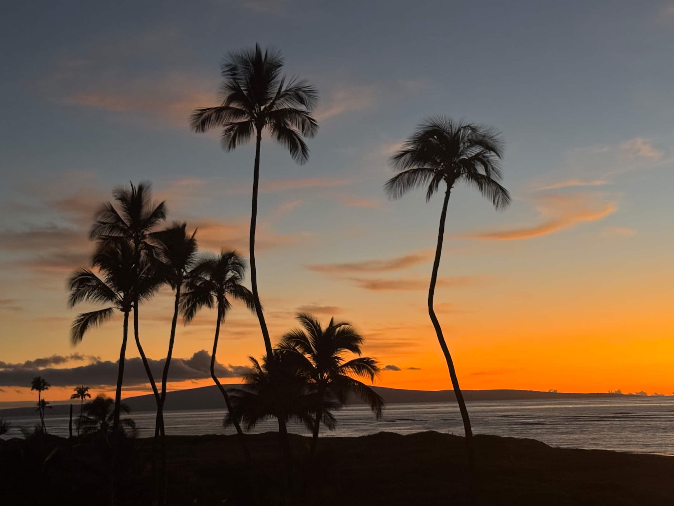 Condo in Kihei · ★4.78 · 2 bedrooms · 3 beds · 2 shared baths - Image 41