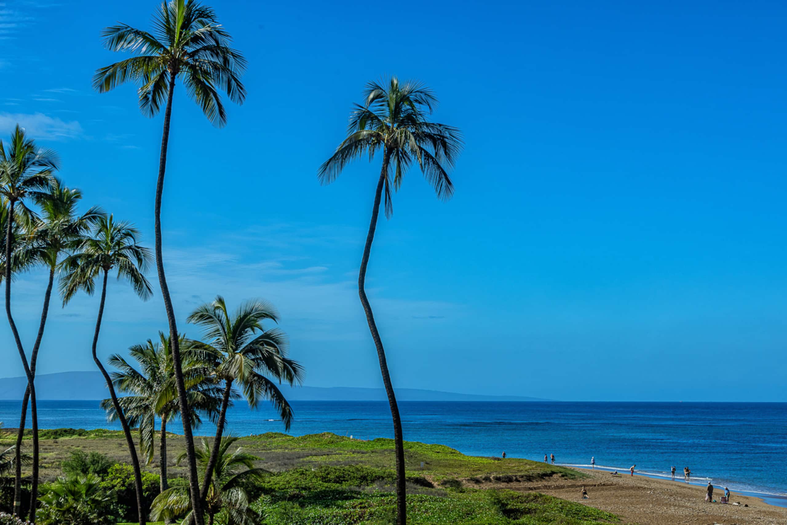 Condo in Kihei · ★4.78 · 2 bedrooms · 3 beds · 2 shared baths - Image 10
