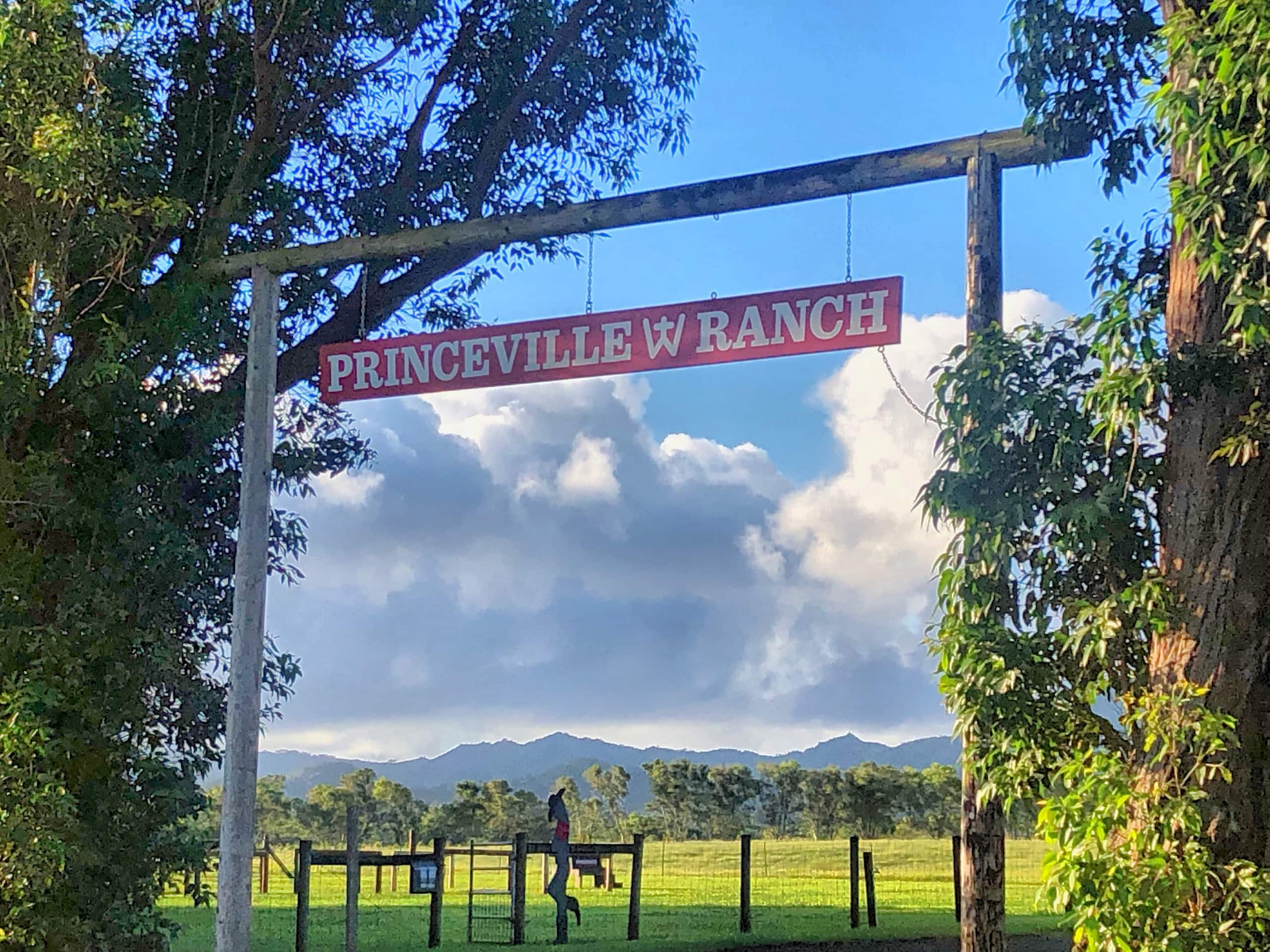 Townhouse in Princeville · ★4.94 · 2 bedrooms · 4 beds · 2.5 shared baths - Image 43