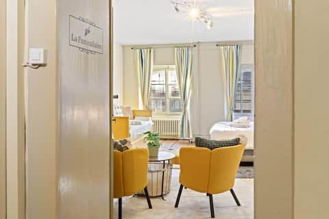 Bright studio in Freiburg's old town